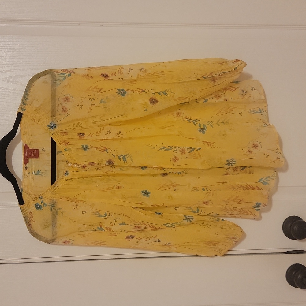 Sundance silk, sheer blouse, sz large.